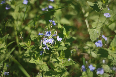 Similar image 1419950