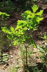 Similar image 1419951