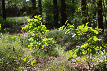 Similar image 1419953