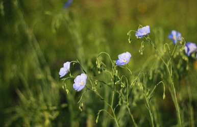 Similar image 1419984