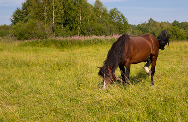 Similar image 1420010