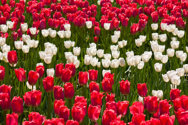 Similar image 1420028