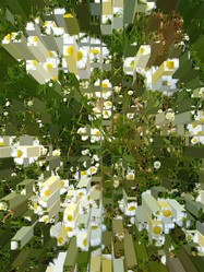 Similar image 1420063