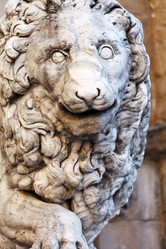 Similar image 1420089