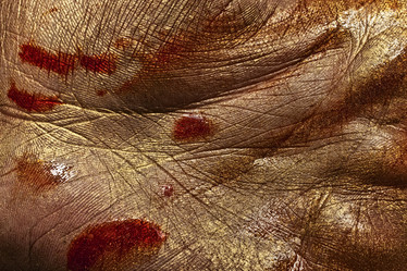 Similar image 1420110