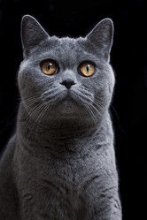 Similar image 1420164