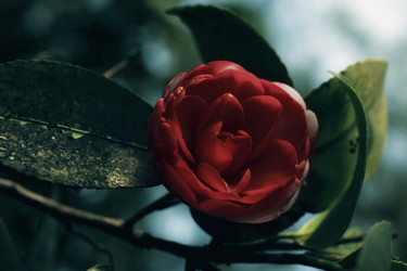 Similar image 1420170