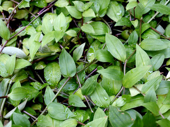 Similar image 1420238