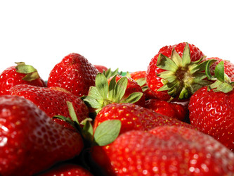 Similar image 1420257