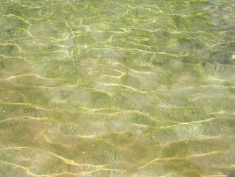 Similar image 1420271