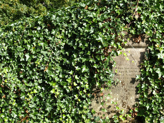 Similar image 1420301