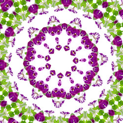 Similar image 1420580