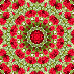 Similar image 1420581