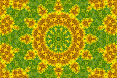 Similar image 1420584