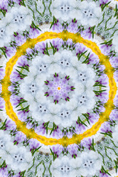 Similar image 1420596