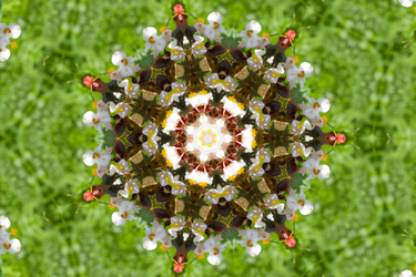 Similar image 1420598