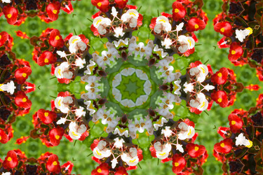 Similar image 1420600