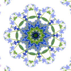 Similar image 1420611