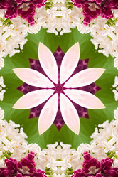 Similar image 1420629