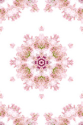 Similar image 1420630