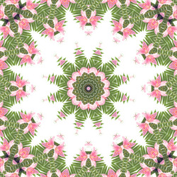 Similar image 1420632