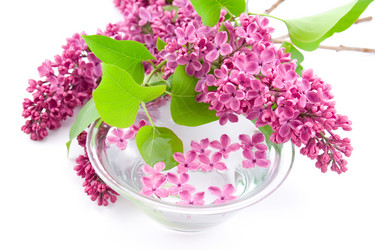 Similar image 1420633