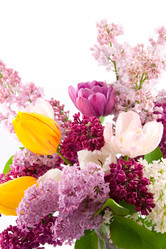 Similar image 1420634