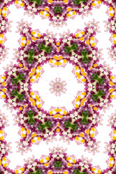 Similar image 1420642