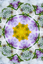 Similar image 1420643