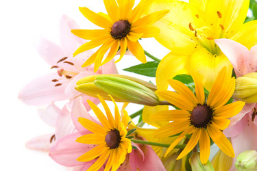 Similar image 1420646