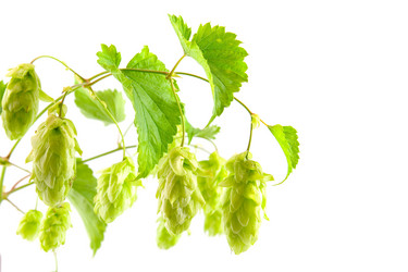 Similar image 1420647