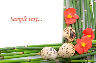 Similar image 1420650