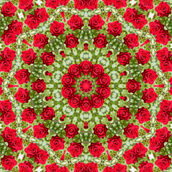 Similar image 1420665