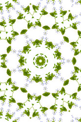 Similar image 1420666