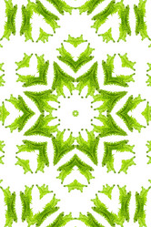 Similar image 1420667