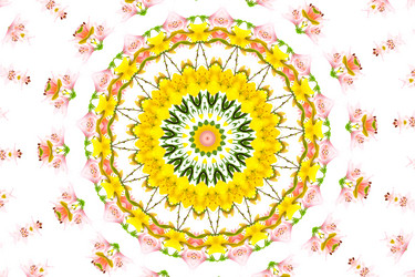 Similar image 1420673