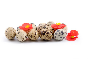 Similar image 1420676