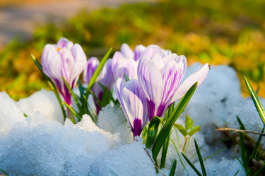 Similar image 1420679