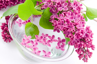 Similar image 1420680