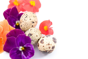 Similar image 1420686