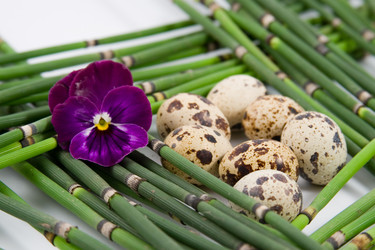 Similar image 1420702