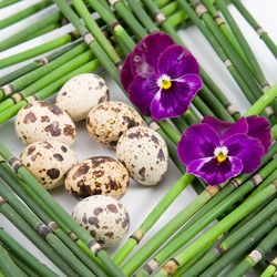 Similar image 1420705