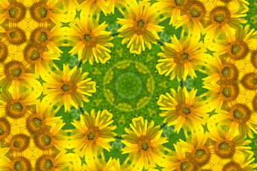 Similar image 1420711