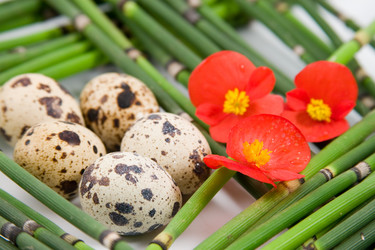 Similar image 1420713