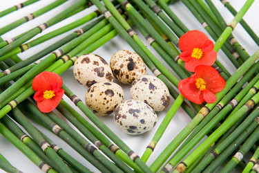 Similar image 1420721