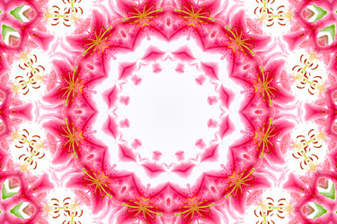 Similar image 1420723