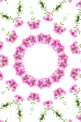 Similar image 1420735