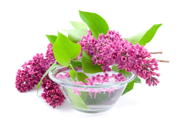 Similar image 1420741