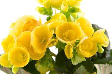 Similar image 1420747