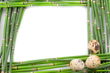 Similar image 1420749